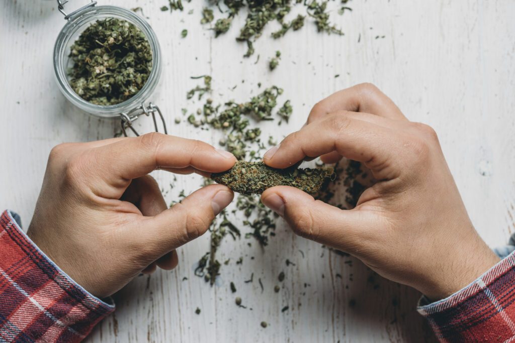 Young adult man holding marijuana cannabis